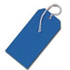 Viking Coloured Strung Tags-Blue