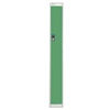 Viking Link Single Door Locker-Grey With Green Door