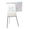 Viking Management Flipchart Easel