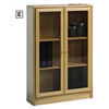 Maple Wood Veneer Low Glass Door Bookcase