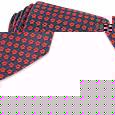 Villa Bolgheri Red Flowers Woven Silk Tie