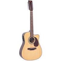 Vintage 12 String Solid-T Elec-Acoustic