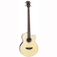 Electro Acoustic Bass Guitar