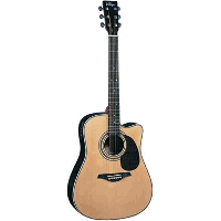 Vintage VEC1100N Acoustic Guitar-Natural