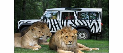 Safari Tour at Longleat Safari Park (Adult
