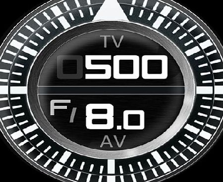 Vis LLC Photo CoPilot