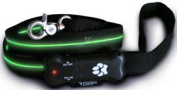 Visiglo Leads (4):Green Fibre