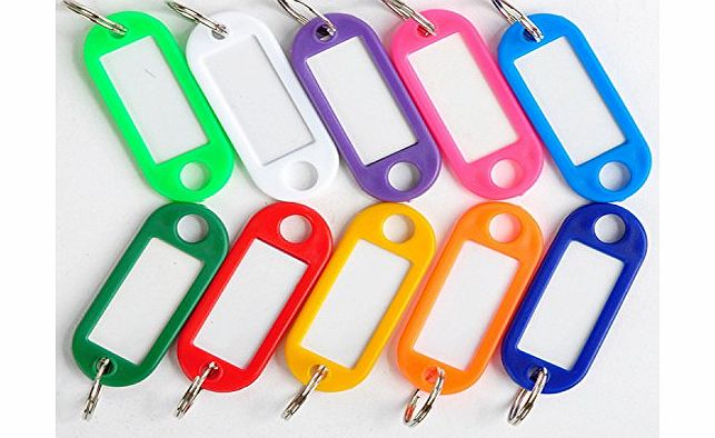 Viskey 20PCS Plastic Key ID Label Tags Split Ring Keyring in Red,Blue,Green and Yellow