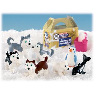 Animal Hospital Polar Husky Dog Family