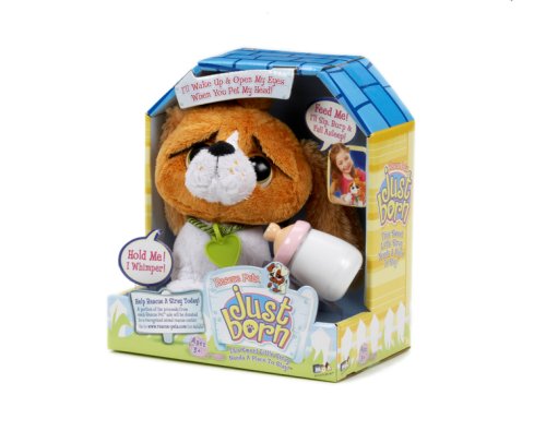 Vivid Imaginations Rescue Pets Just Born - Spaniel