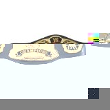 WWE Title Belts - Tag Team