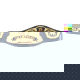 WWE Title Belts - Tag Team