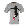 Spectro 3 Burgundy Shoe T-Shirt (Grey)