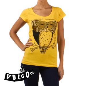T-Shirts - Volcom Fa Matt French Ss Scoop