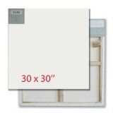 Volitation 20 x Beautiful Artists Canvas (30 x 30)