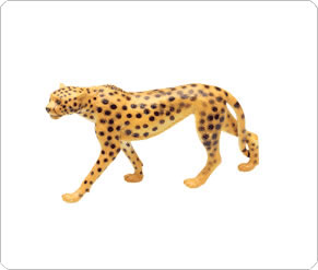 Large Cheetah