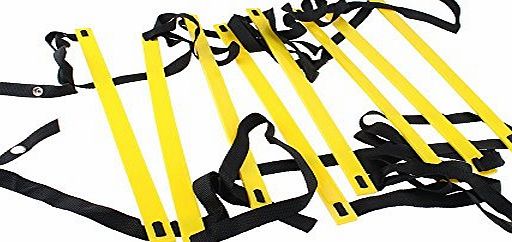 Vzer Durable 4-Meter 8-rung Agility Ladder for Soccer, Speed, Football Fitness Feet Training with Black Carrying Bag