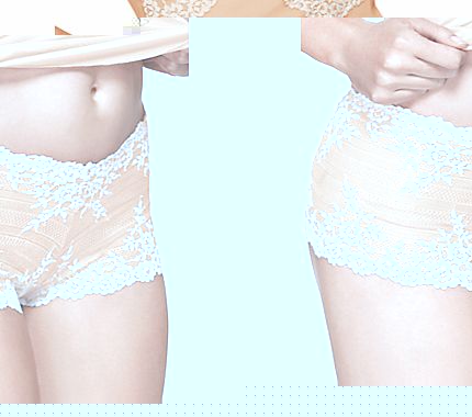 Wacoal Embrace Lace Shorts