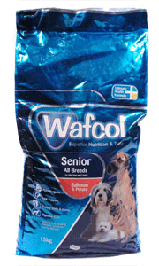 Caine Senior Salmon and Potato 15kg