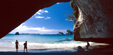 waiheke island Explorer Tour