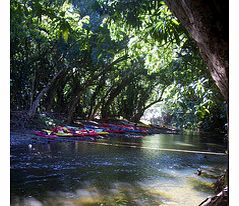 Wailua River Kayak Tour - Child
