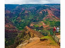 Canyon & Wailua River Tour - Child