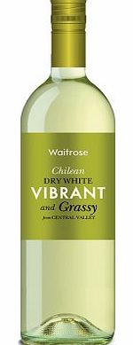 Waitrose Vibrant And Grassy Chilean White Nv