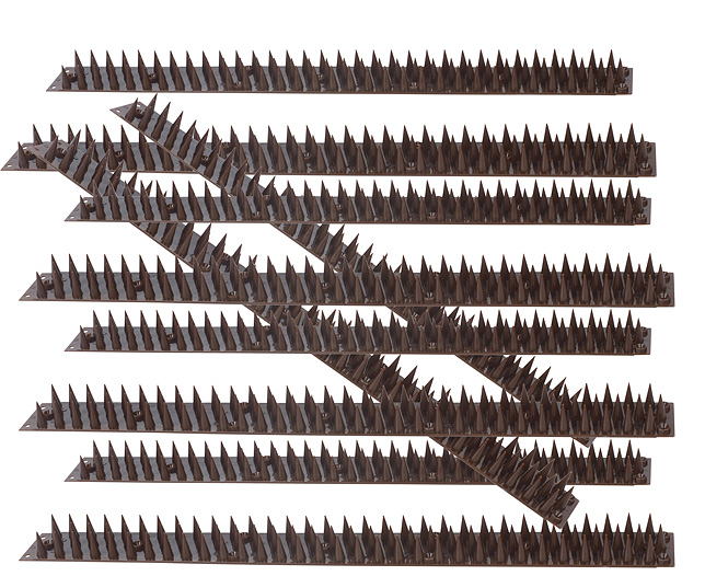 Wall and Windowsill Spikes - Brown(10)