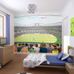 Football Crazy Mural Wall Stickers