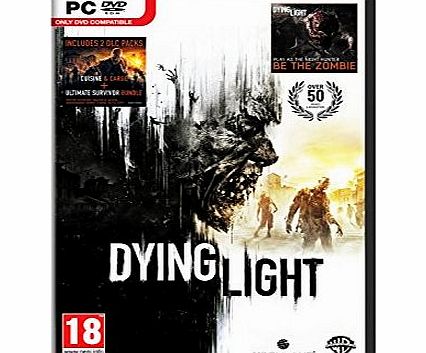 Dying Light on PC