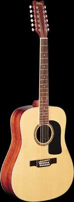 Washburn D10S12