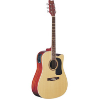 Washburn D10SCE Electro-Acoustic Guitar