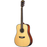 Washburn D46S Acoustic Guitar