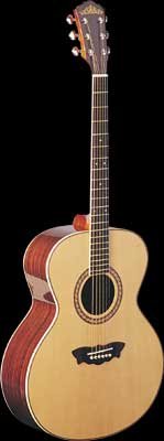 Washburn J12S