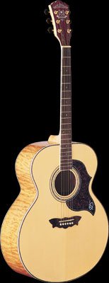 Washburn J28SDL