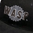 WASP Embroidered Logo Baseball Cap