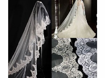 Wedding Veil Top-level 3 Meter Long Single-layer Embroidery Lace Edge Romantic Bridal Wedding Veil White