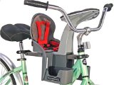 NEW GREY 2009 WeeRide Kangaroo Child Bike Seat