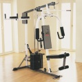 WEIDER compact gym with stepper and vertical knee raise