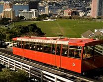 Wellington City Sights Tour - Child
