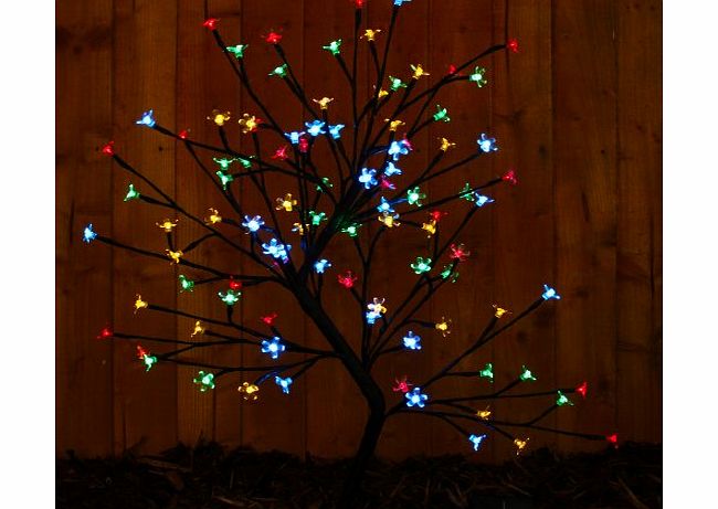 WeRChristmas 80 cm 96 LED Lights Illuminated Cherry Blossom Tree Christmas Decoration, Multi-Colour