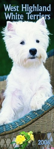 Highland Terrier - SLIM Calendar