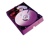 Western Digital Caviar 400GB 16MB SATA 7200rpm Hard Drive