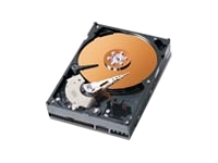 Western Digital Caviar SE WD3200JB - hard drive - 320 GB - A