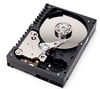 WESTERN DIGITAL Hard drive Raptor 36.7 Gb Bulk ((WD360GD)
