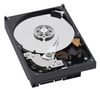 WESTERN DIGITAL RE2-GP WD1000FYPS Hard Drive - 3.5` - 1 TB -