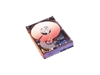 WESTERN DIGITAL WD Caviar Blue WD800JD - hard drive - 80 GB - SATA-300
