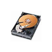 WD Caviar Hard Disk Drive SE 160GB Ultra ATA/100