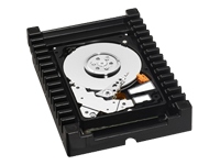 WD VelociRaptor WD3000HLFS Server Hard Drive