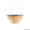 Westwoods 12` inches Dragon Hanging Basket